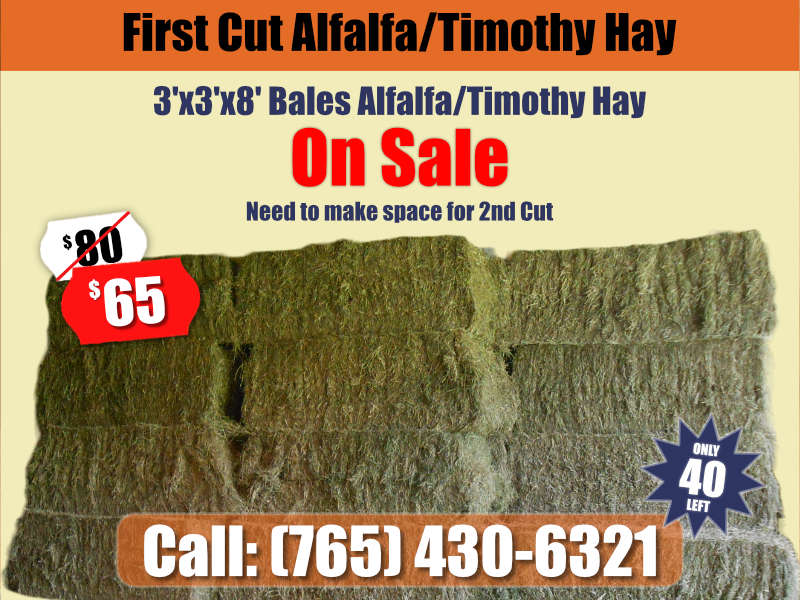 Alfalfa-Timothy-Hay-EFSupply